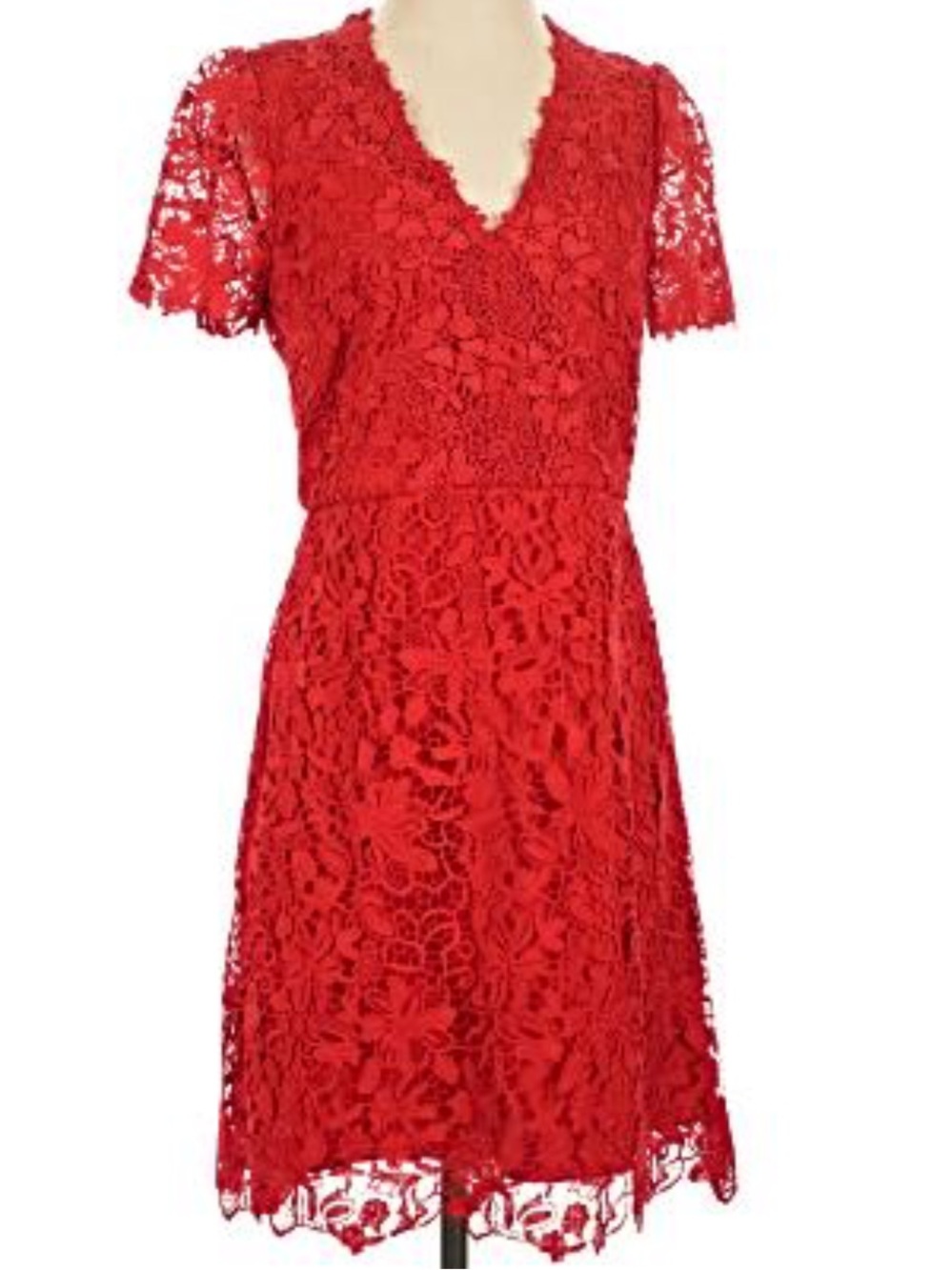 White House Black Market Red Lace Cocktail Holiday Party Dress -NWT